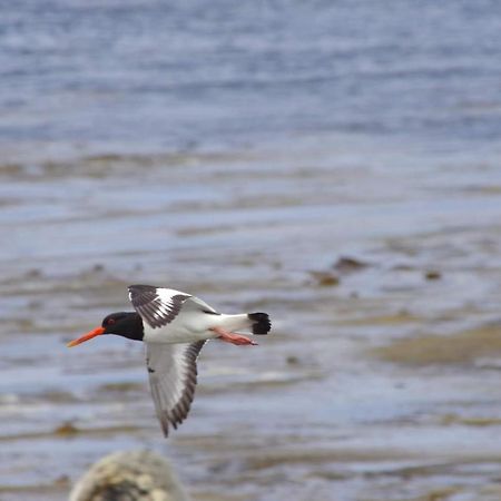 Bru Chlann Lir Bed & Breakfast Belmullet ภายนอก รูปภาพ