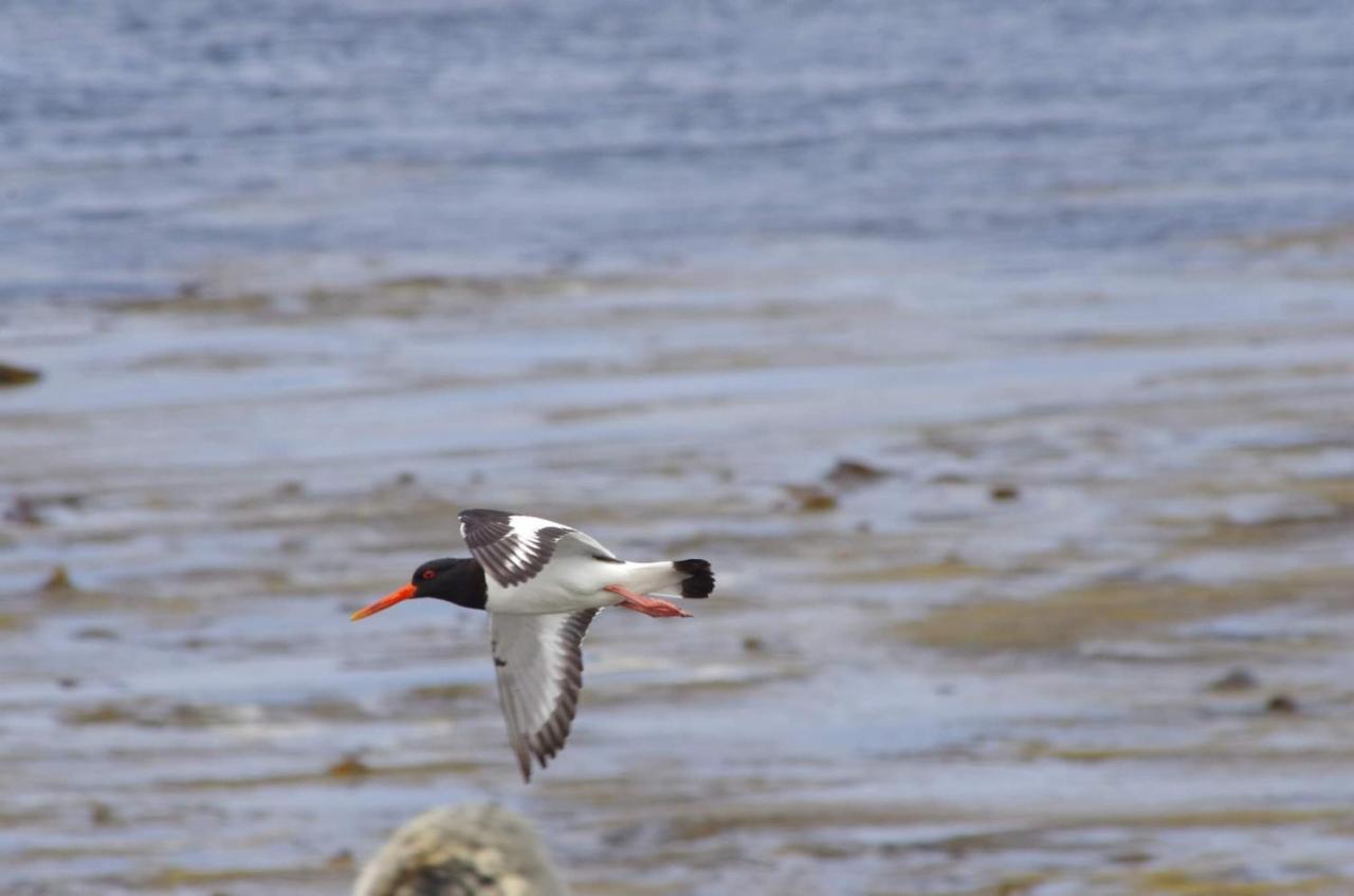 Bru Chlann Lir Bed & Breakfast Belmullet ภายนอก รูปภาพ